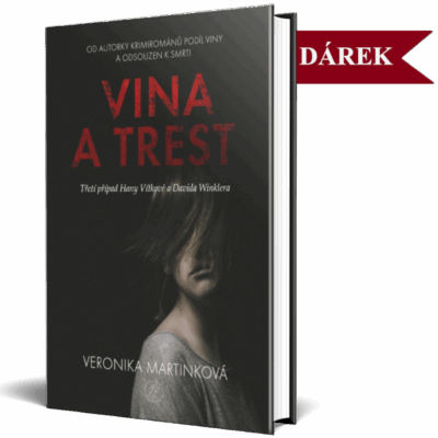 Vina a trest