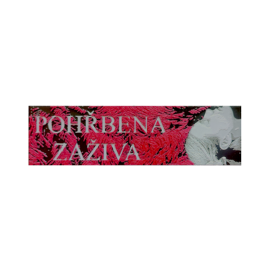 3D záložka Pohřbena zaživa